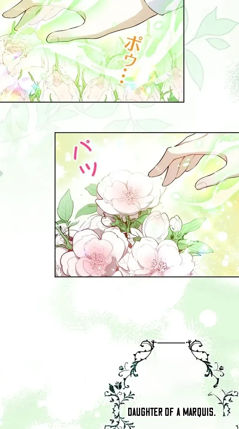 100 Oku de Rakusatsu Sareta Seijo wa Tekikoku Ooji no Hanayome ni Naru Chapter 1 page 29 - 