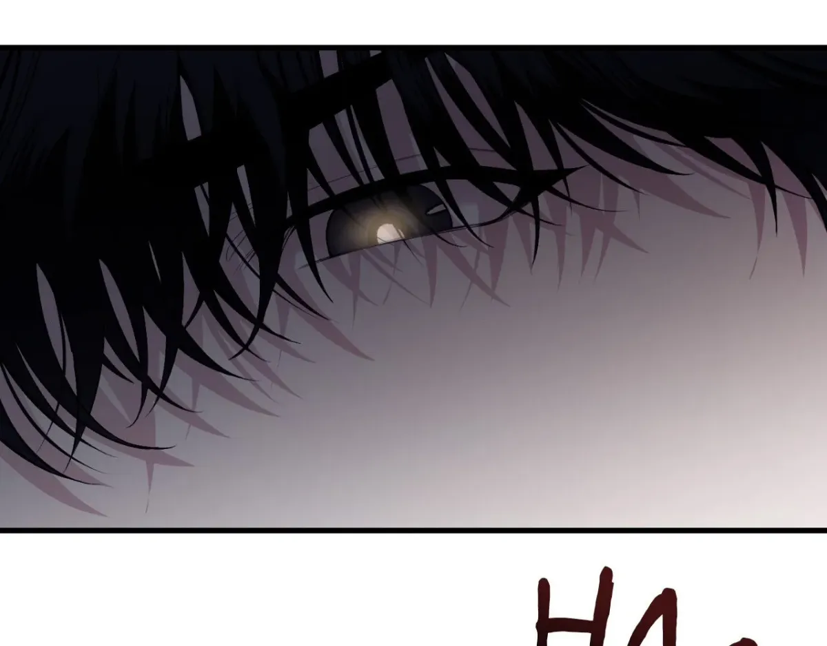 151.20% Chapter 12 page 16 - 