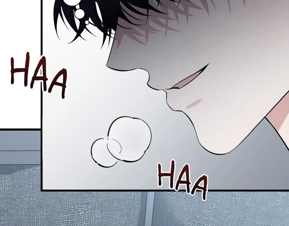 151.20% Chapter 12 page 20 - 