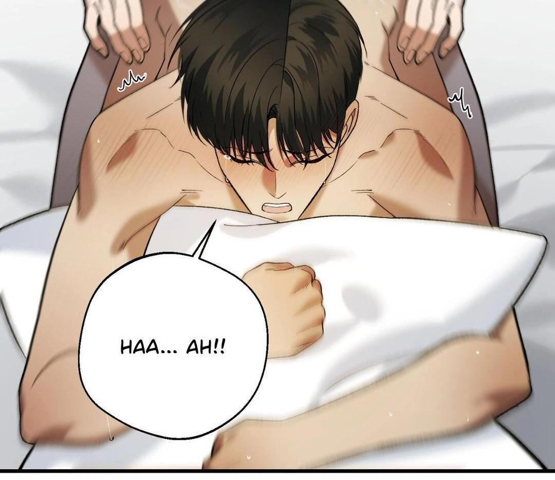 151.20% Chapter 27 page 111 - 