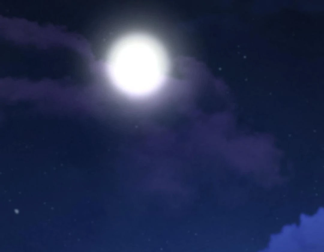 151.20% Chapter 31 page 125 - 