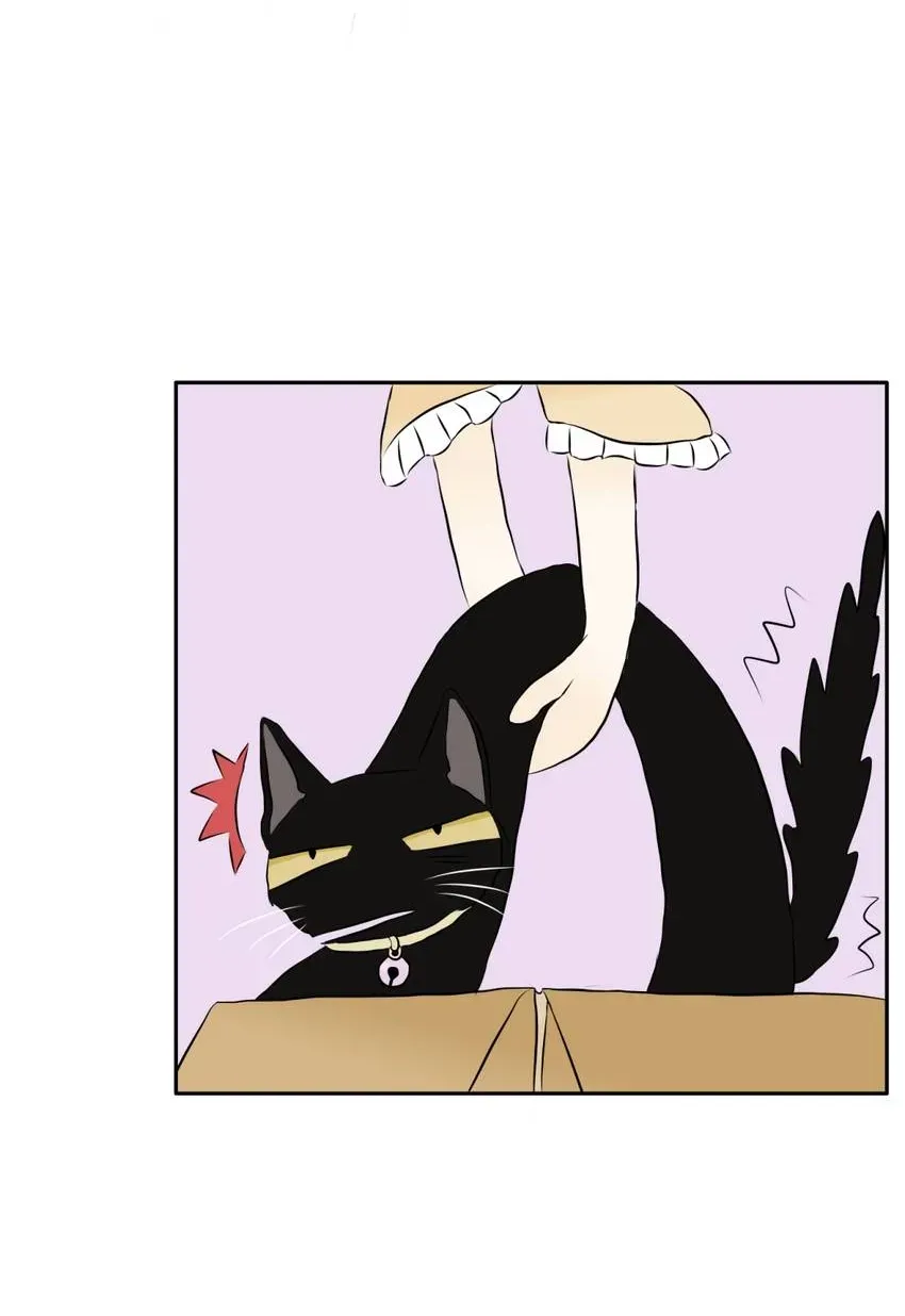 28 Chapter 1.1 page 13 - 