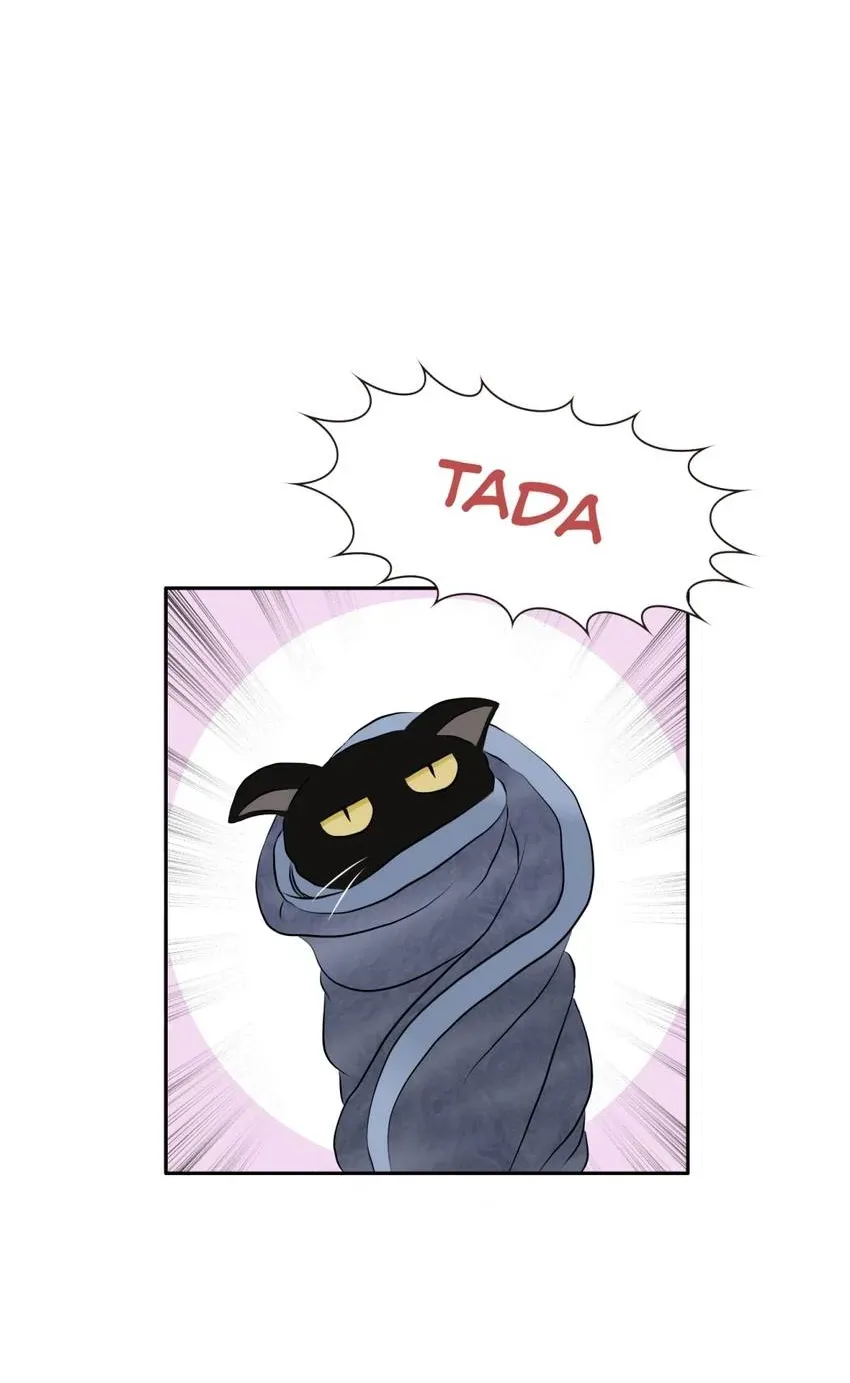 28 Chapter 1.1 page 15 - 