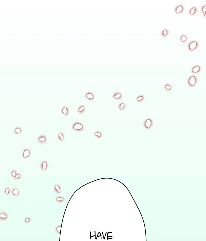 28 Chapter 4.1 page 19 - 