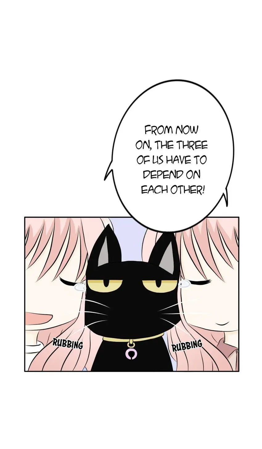 28 Chapter 4.1 page 5 - 