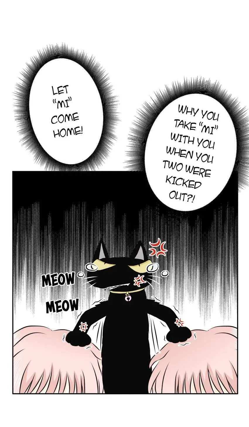 28 Chapter 4.1 page 6 - 