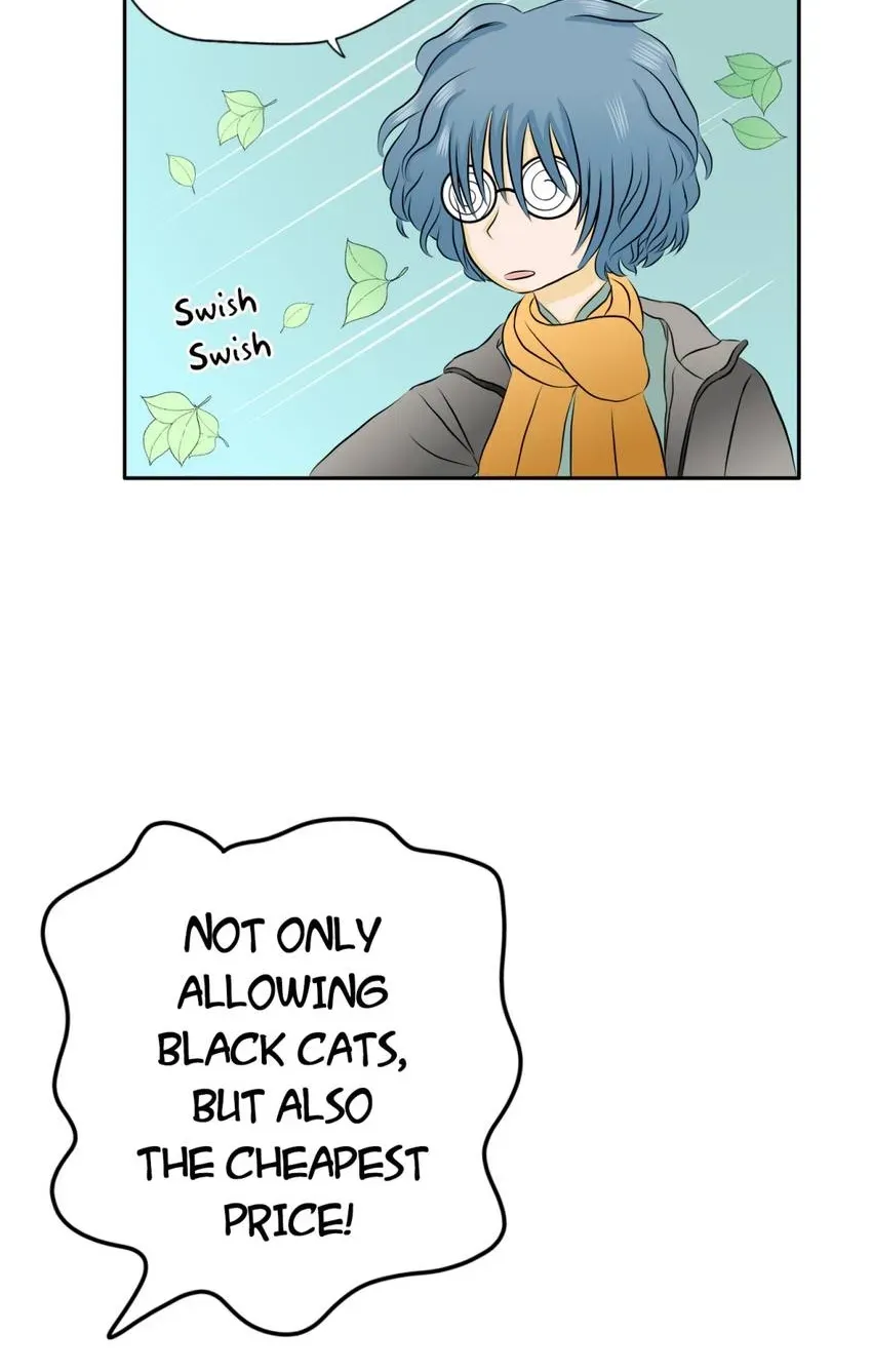 28 Chapter 6.1 page 12 - 