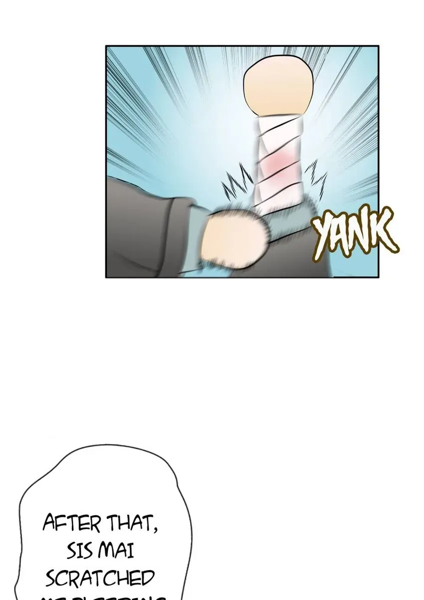 28 Chapter 6.1 page 5 - 