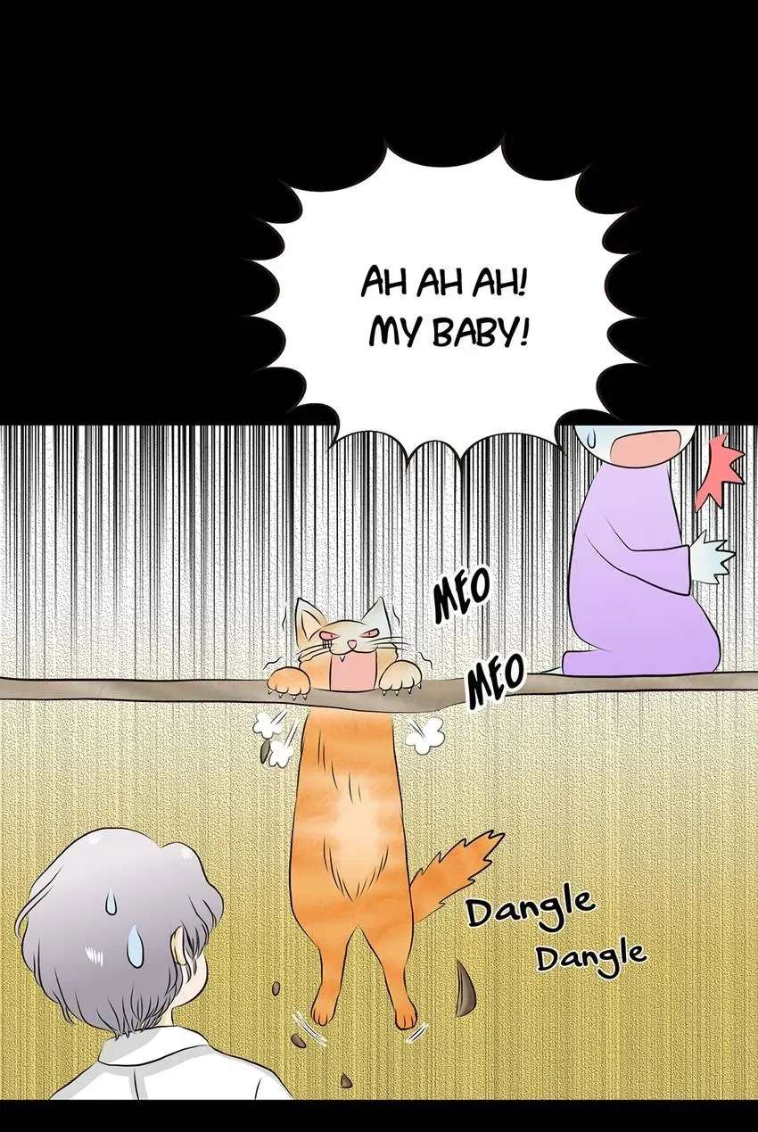 28 Chapter 9.1 page 13 - 