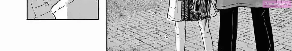 36 Chapter 1 page 133 - 