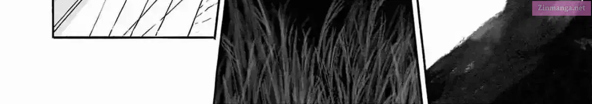 36 Chapter 3 page 15 - 