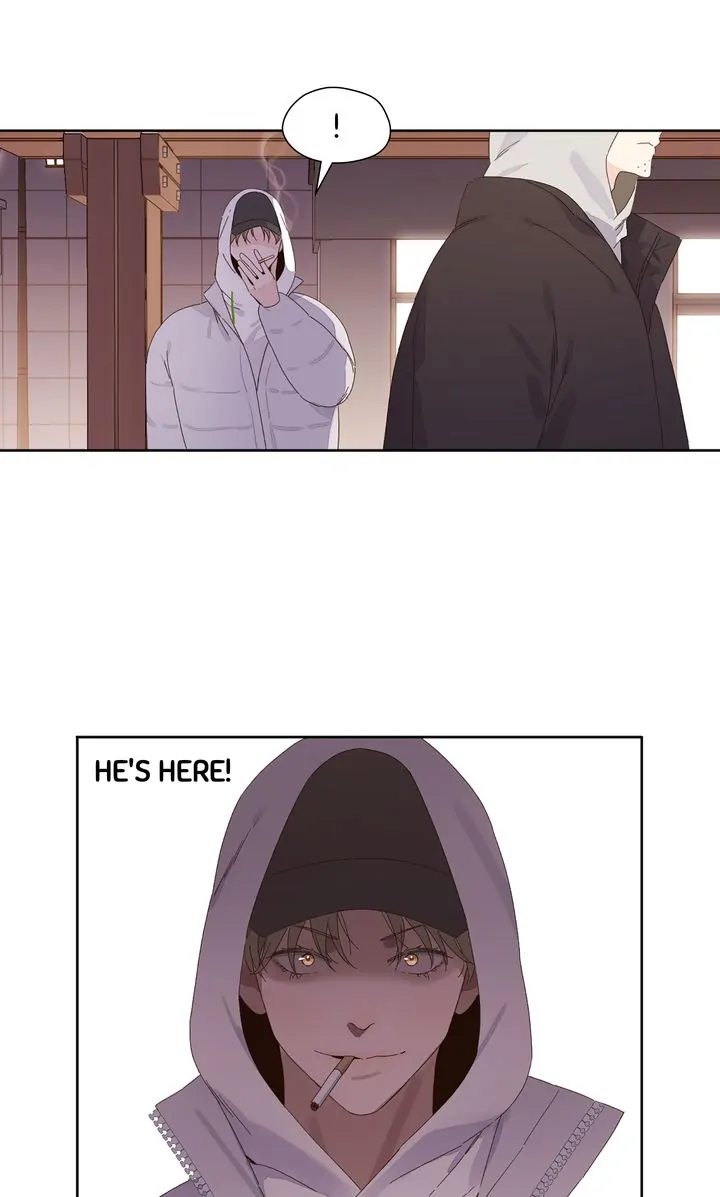 4 Week Lovers Chapter 115 page 41 - 