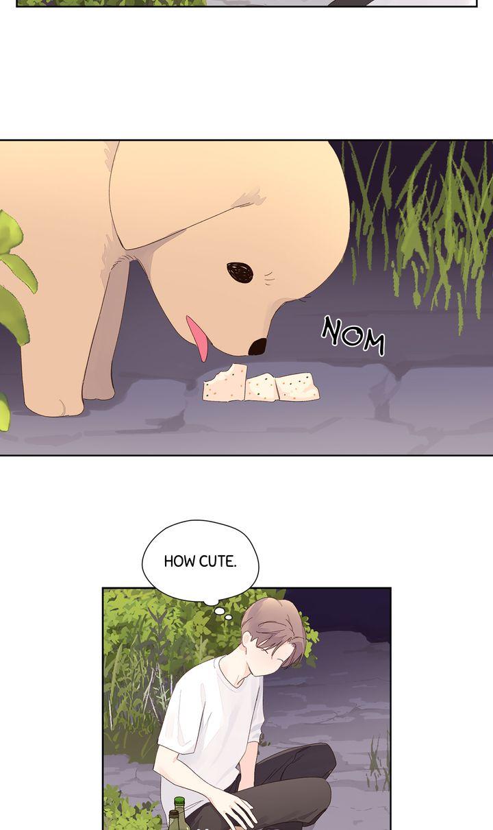 4 Week Lovers Chapter 118.7 page 27 - 