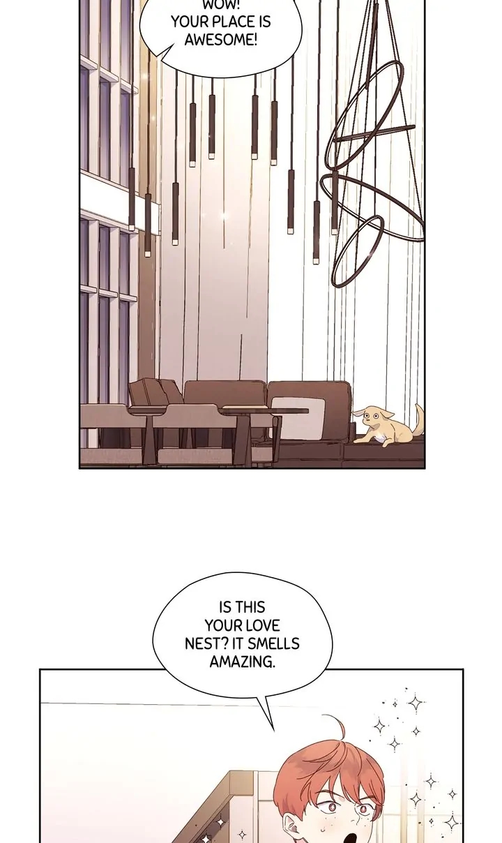 4 Week Lovers Chapter 119.9 page 37 - 