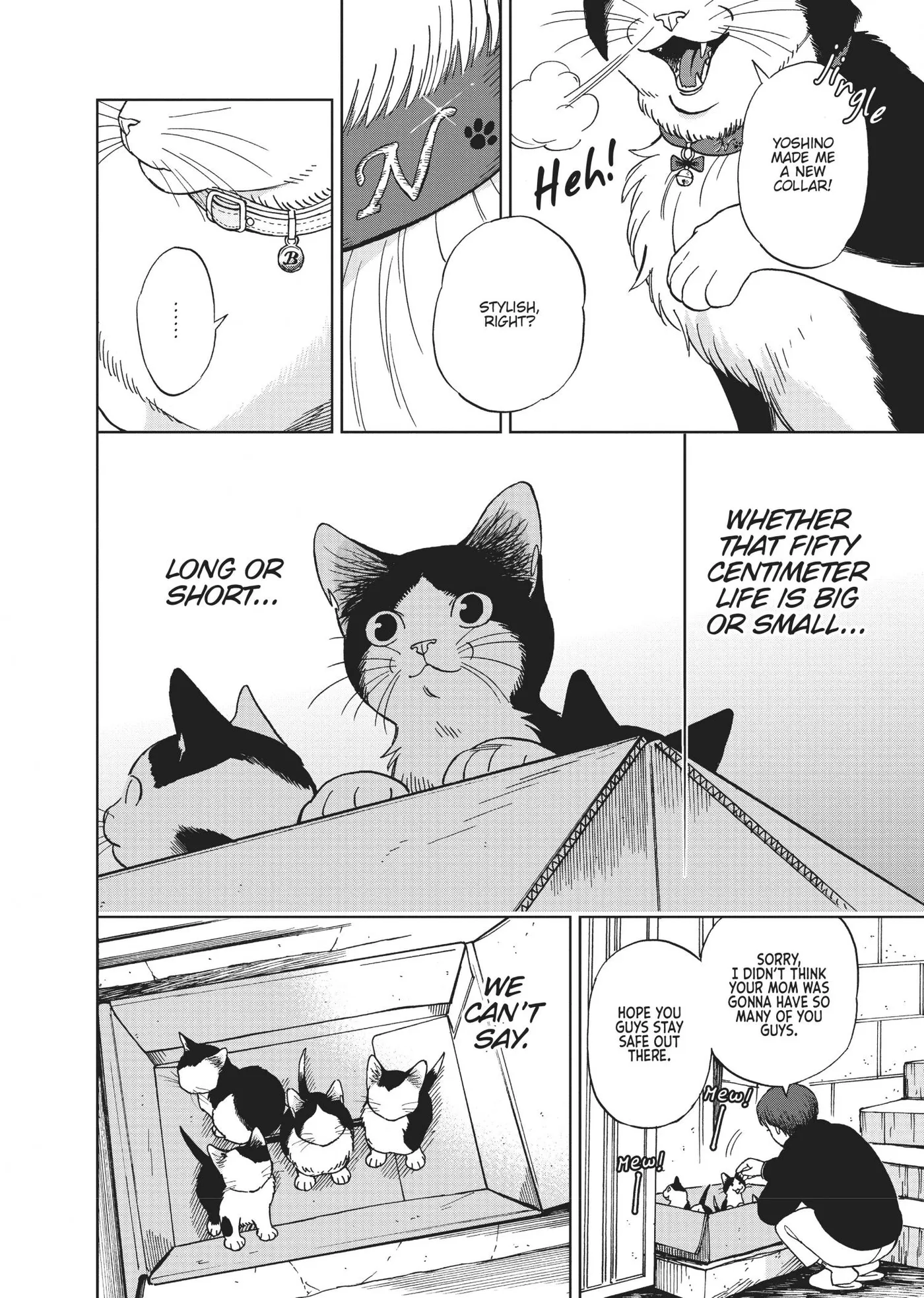 50 senchi no Isshou Chapter 13 page 31 - 