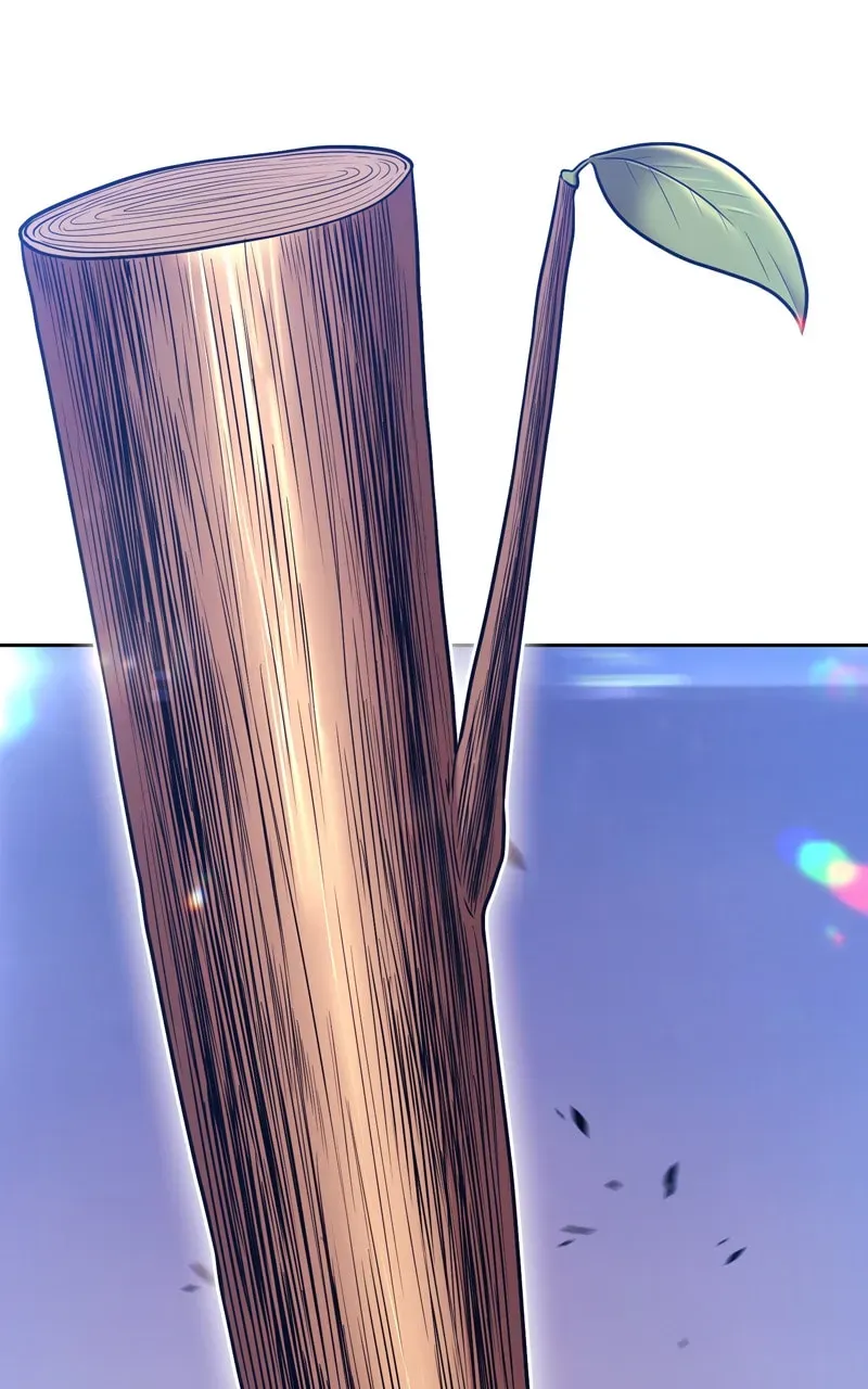+99 Reinforced Wooden Stick Chapter 2.2 page 250 - 