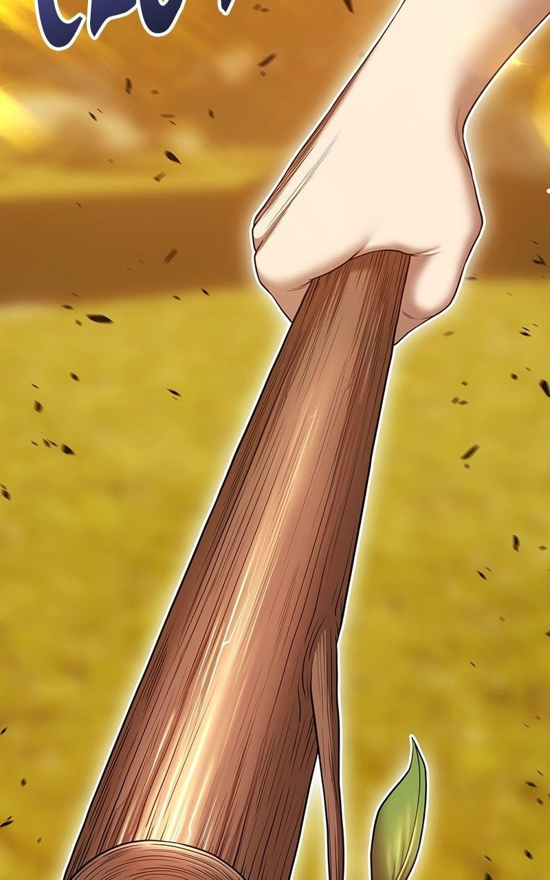 +99 Reinforced Wooden Stick Chapter 172 page 273 - 