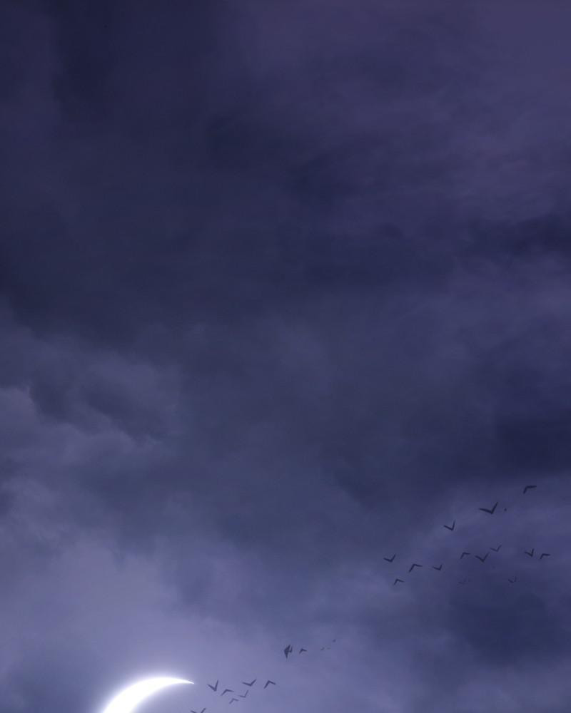 +99 Reinforced Wooden Stick Chapter 2 page 97 - 