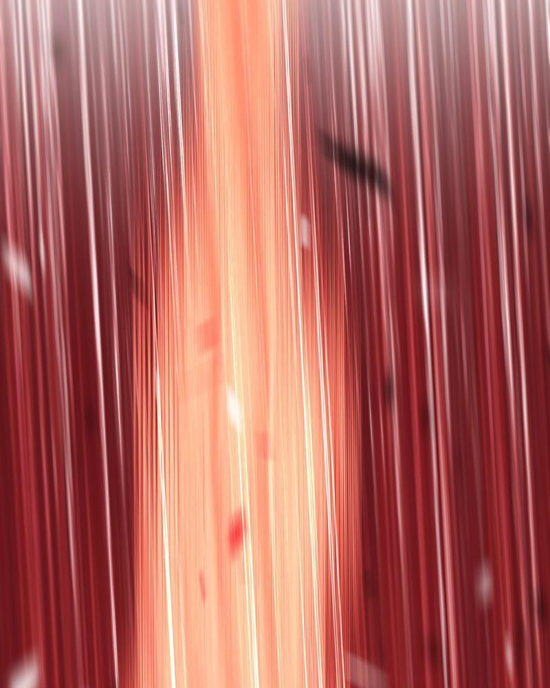 +99 Reinforced Wooden Stick Chapter 4 page 293 - 
