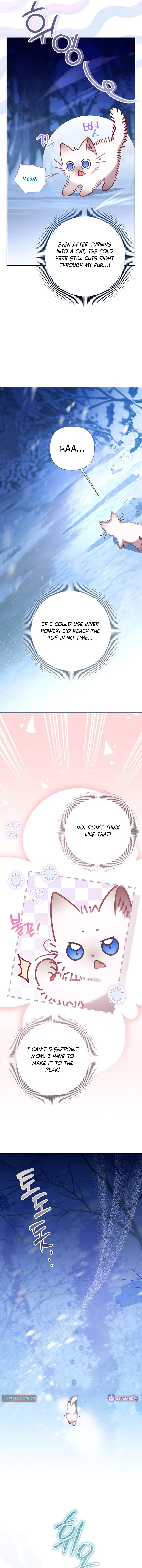 A Baby Cat Who Commands the Dog Clan Chapter 1 page 5 - 