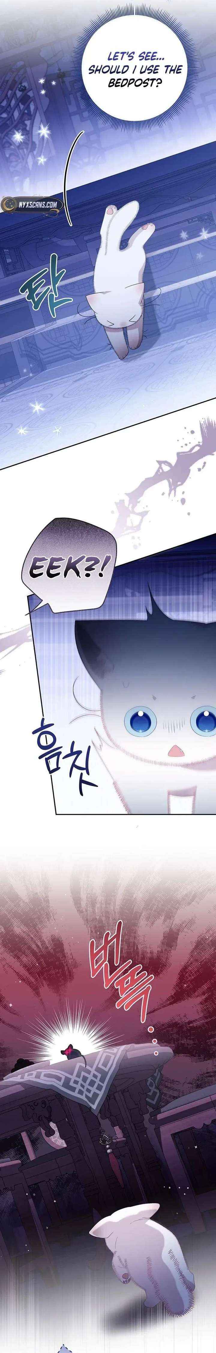 A Baby Cat Who Commands the Dog Clan Chapter 14 page 33 - 