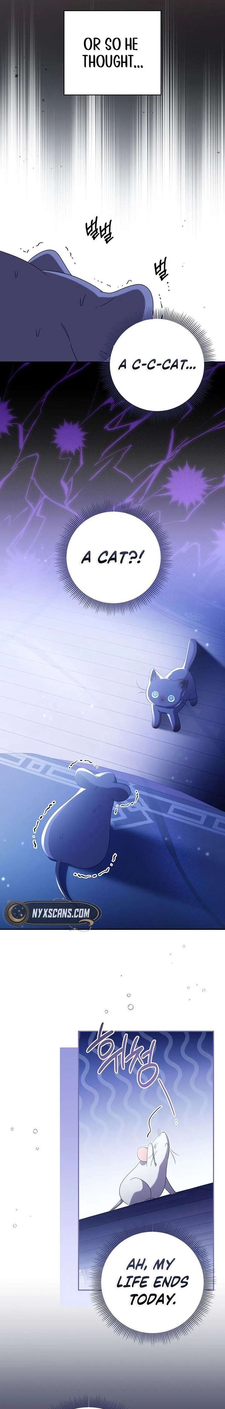 A Baby Cat Who Commands the Dog Clan Chapter 15 page 4 - 