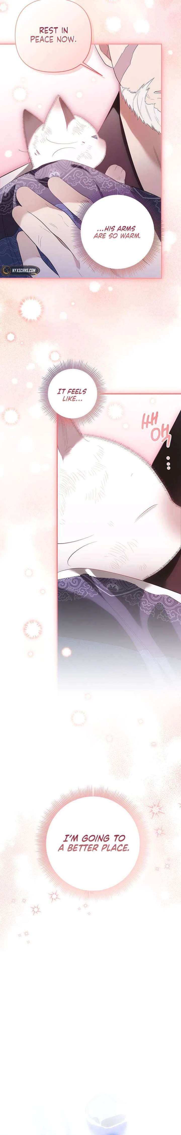 A Baby Cat Who Commands the Dog Clan Chapter 2 page 10 - 
