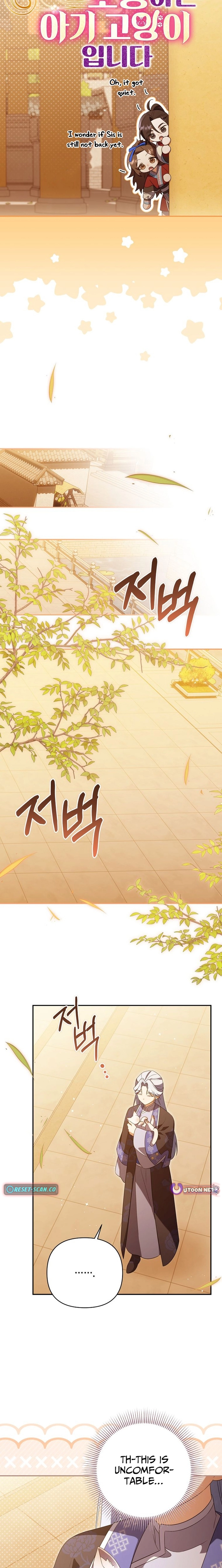 A Baby Cat Who Commands the Dog Clan Chapter 23 page 13 - 