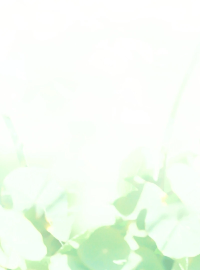 A Bad Example of a Perfect Curse Chapter 10 page 41 - 