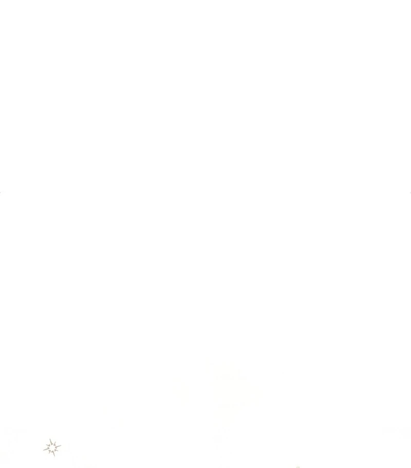 A Bad Example of a Perfect Curse Chapter 10 page 53 - 