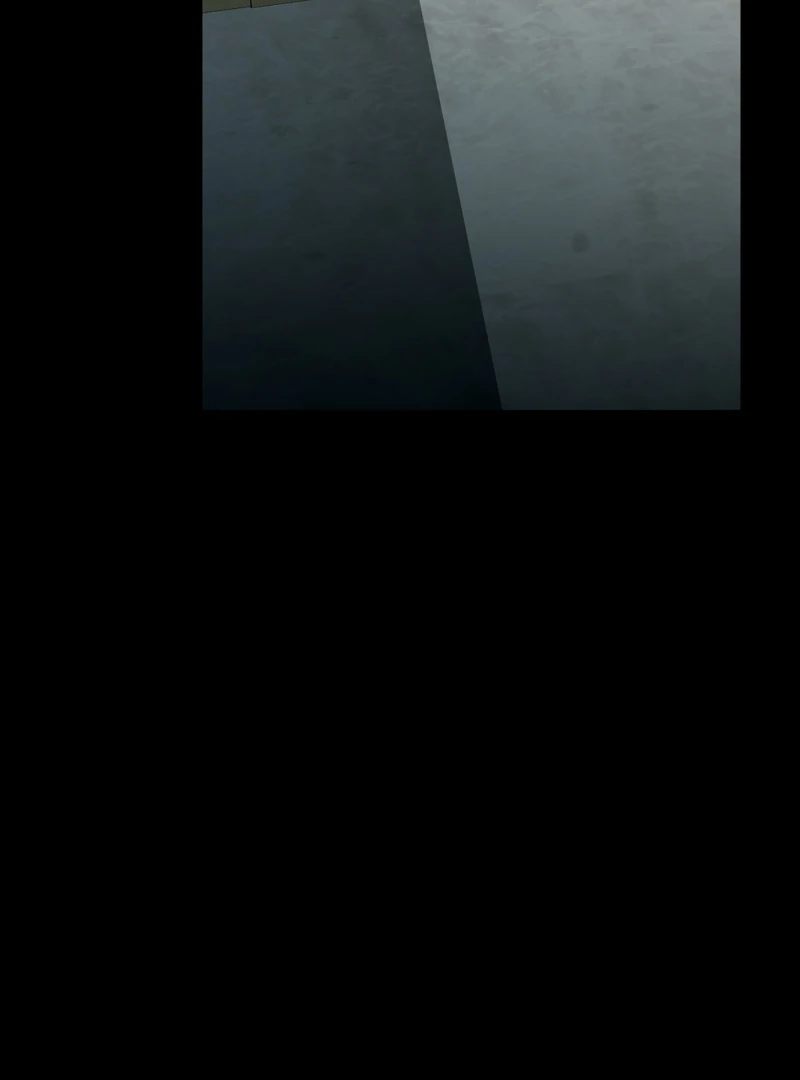 A Bad Example of a Perfect Curse Chapter 13 page 3 - 