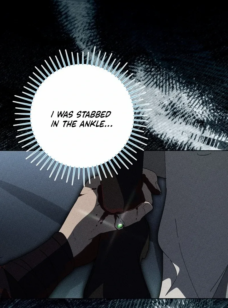 A Bad Example of a Perfect Curse Chapter 13 page 24 - 