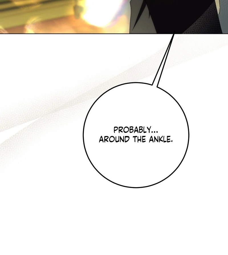 A Bad Example of a Perfect Curse Chapter 13 page 67 - 