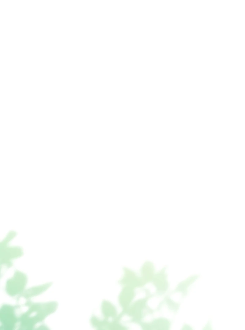 A Bad Example of a Perfect Curse Chapter 2 page 15 - 