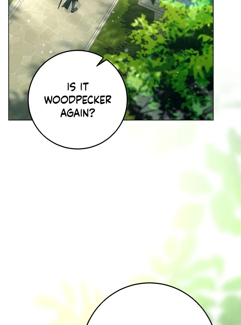 A Bad Example of a Perfect Curse Chapter 2 page 17 - 