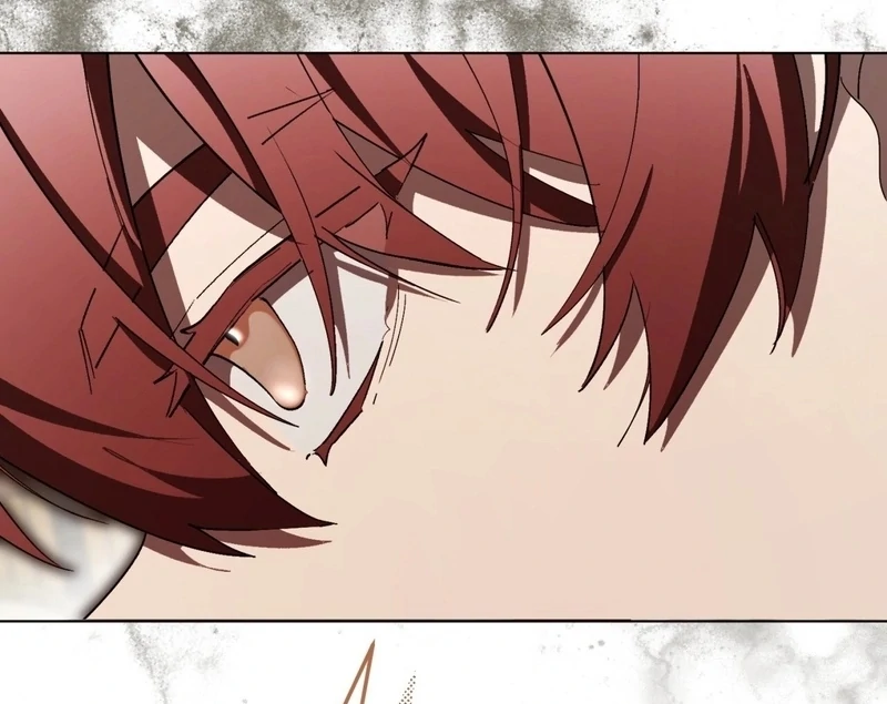 A Bad Example of a Perfect Curse Chapter 9 page 17 - 