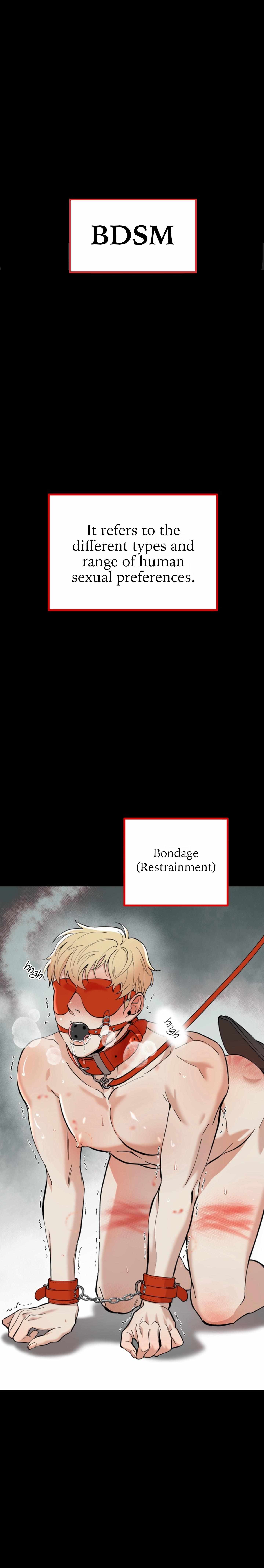 A Basic Guidebook to BDSM Chapter 1 page 2 - 