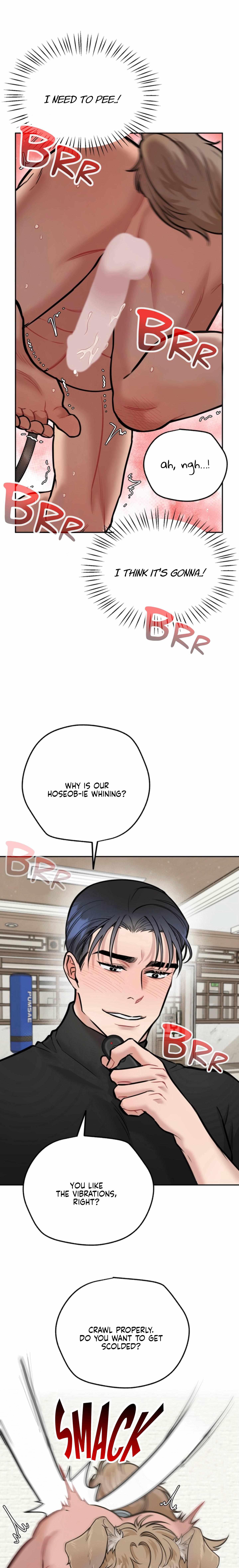 A Basic Guidebook to BDSM Chapter 13 page 20 - 