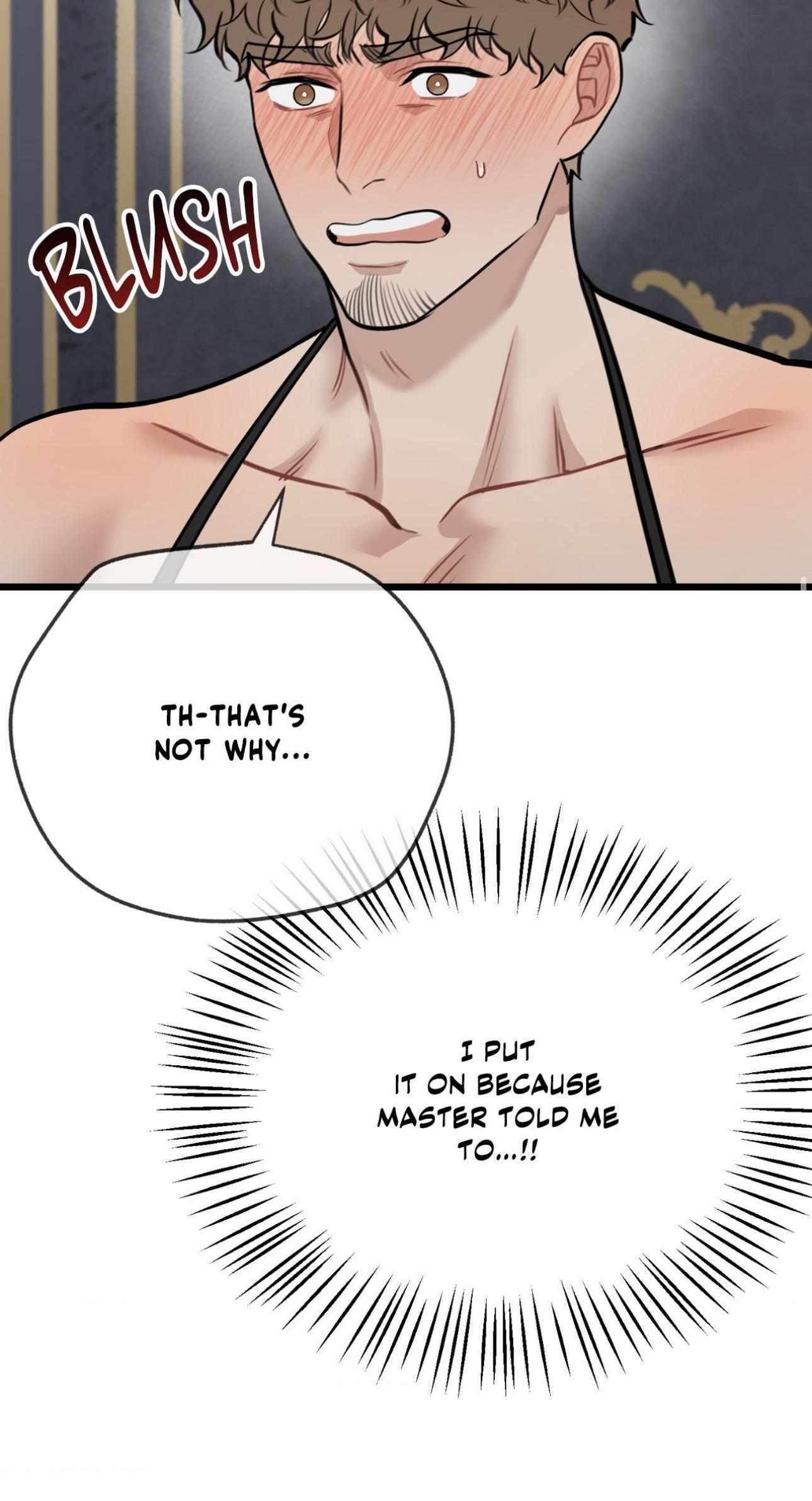 A Basic Guidebook to BDSM Chapter 30 page 30 - 