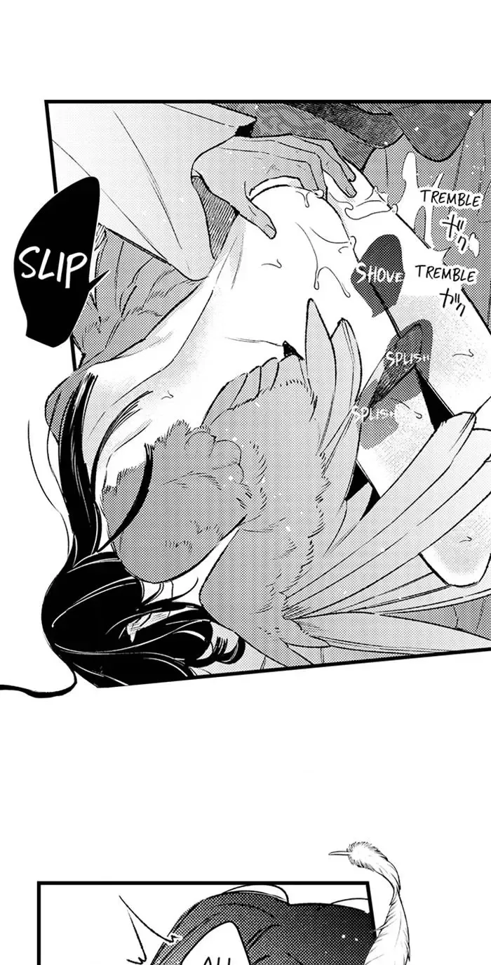 A Beak Upon the Dawn
