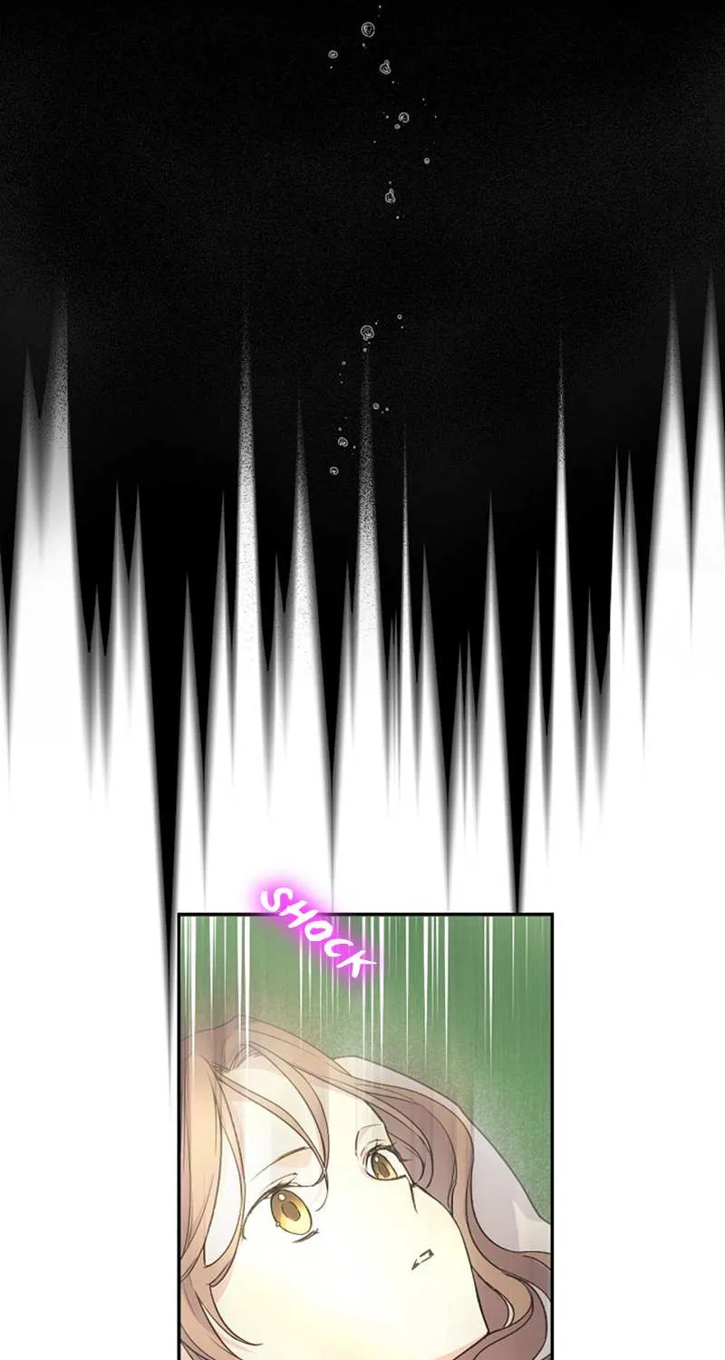 A Capable Maid Chapter 20 page 17 - 