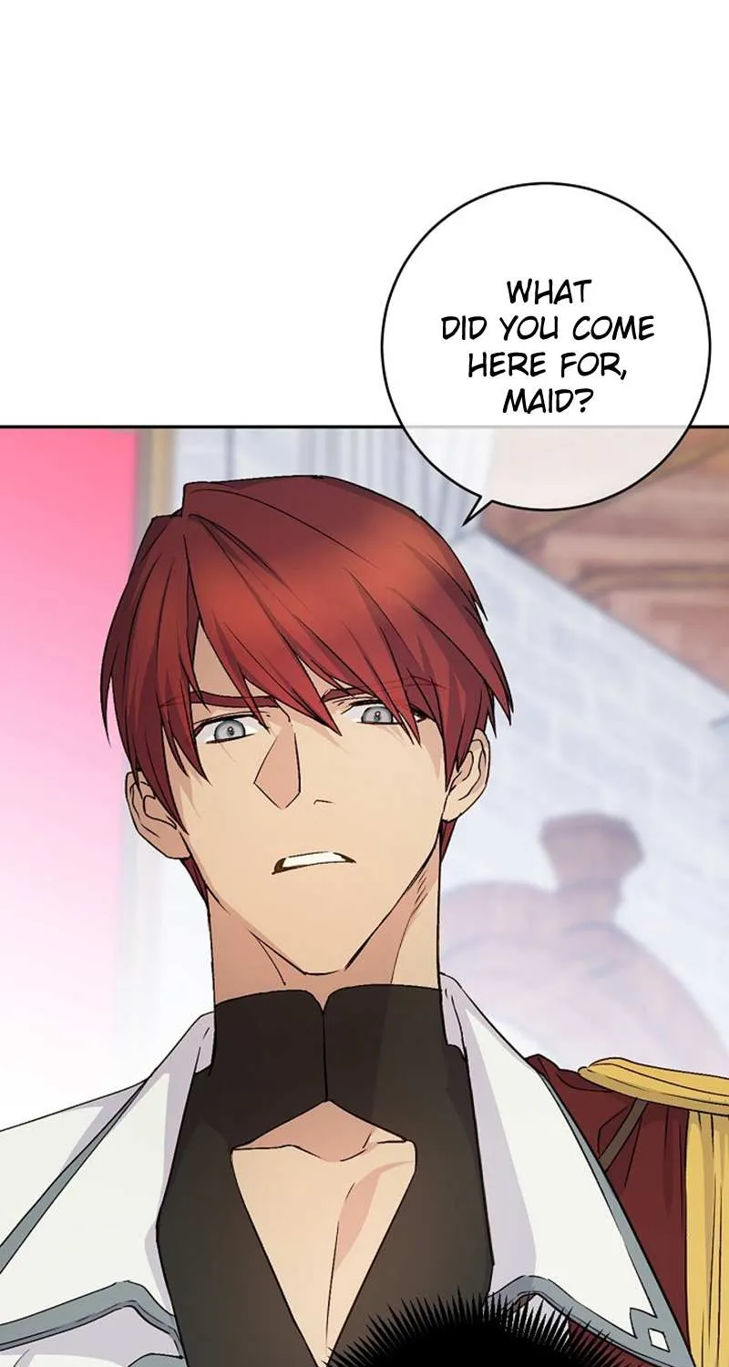 A Capable Maid Chapter 23 page 74 - 