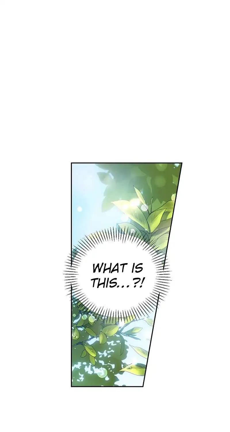 A Capable Maid Chapter 4 page 60 - 