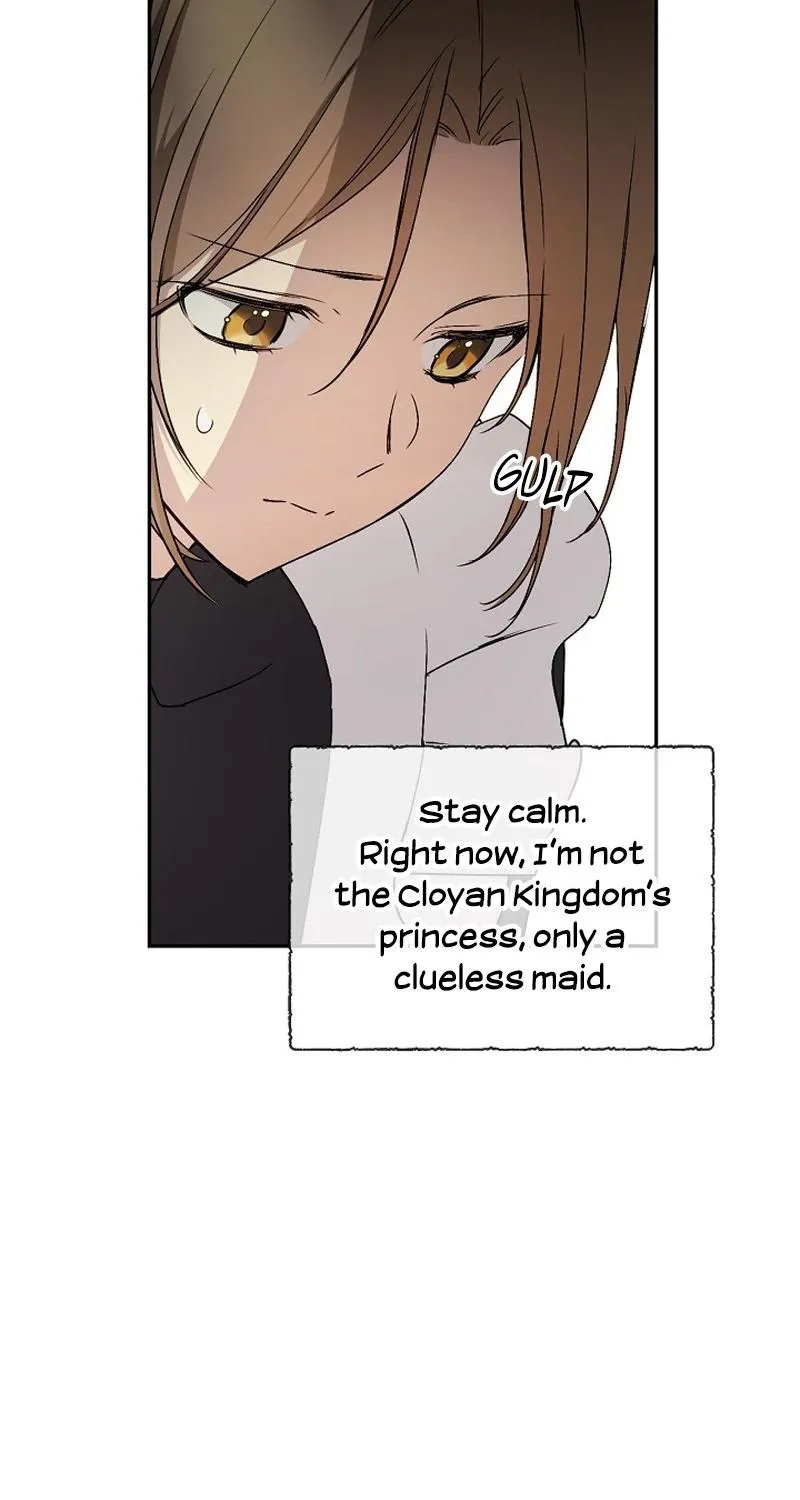 A Capable Maid Chapter 8 page 12 - 