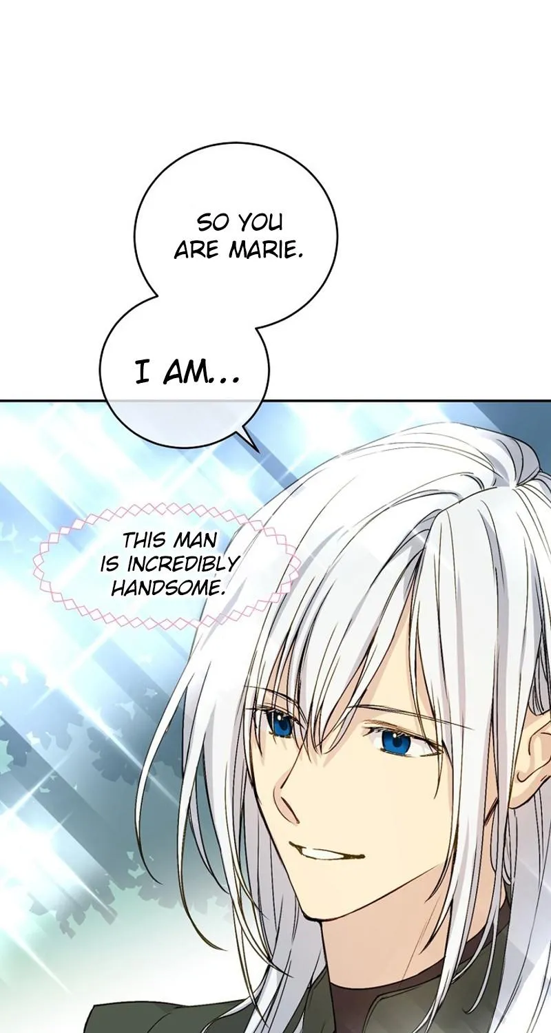 A Capable Maid Chapter 9 page 36 - 