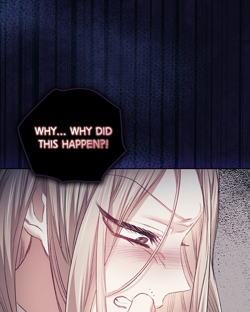 A Chance At Last Chapter 20 page 117 - 