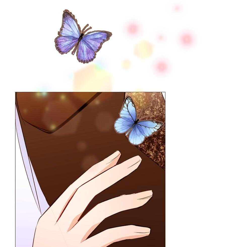 A Common Story of a Lady