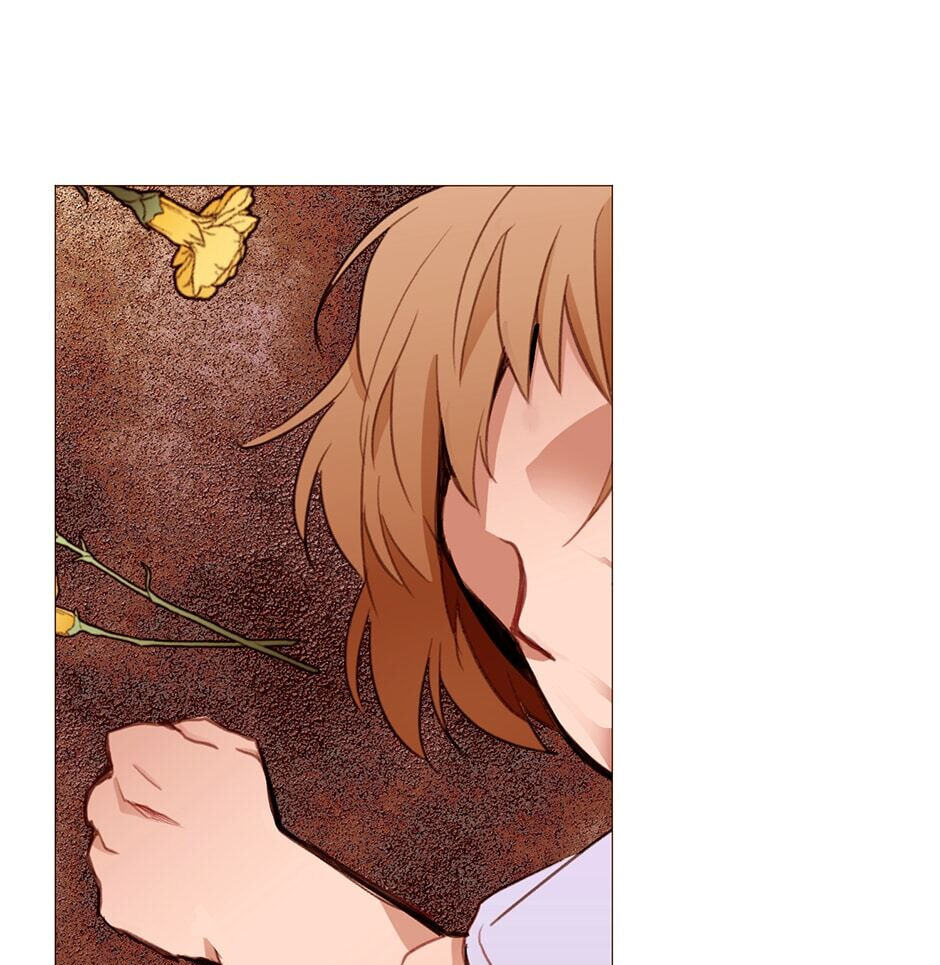A Common Story of a Lady