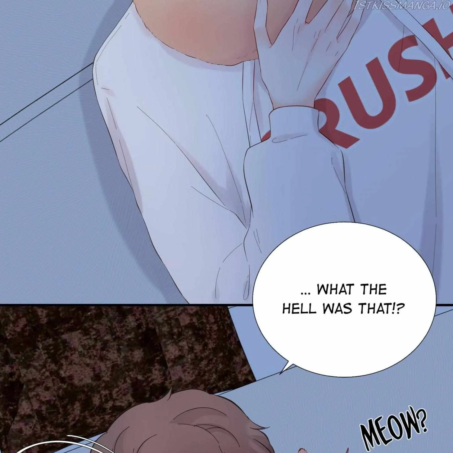 A Contractual Love Can Never Come True Chapter 36 page 66 - 