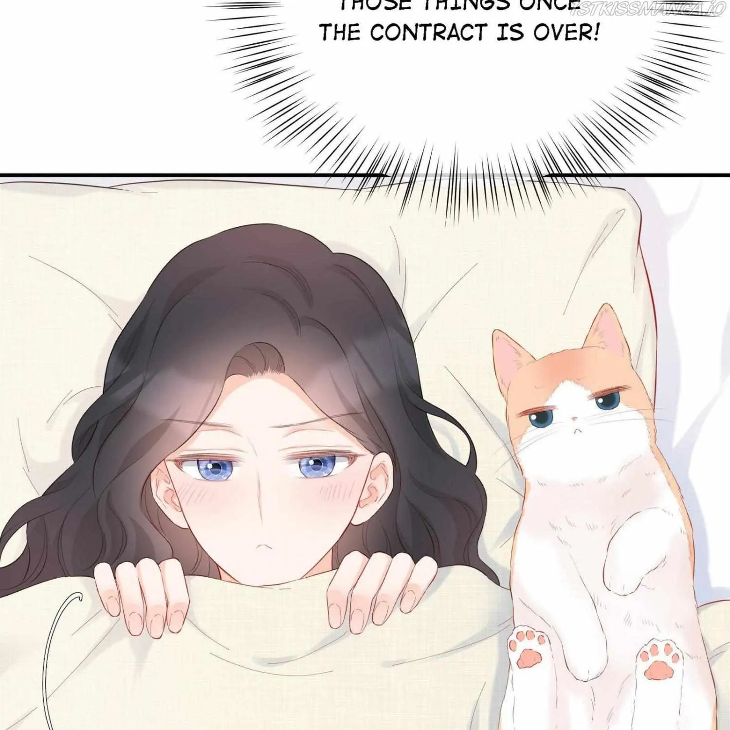A Contractual Love Can Never Come True Chapter 40 page 91 - 